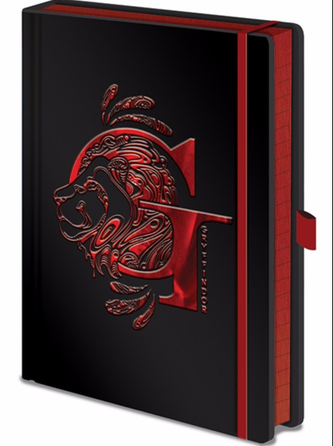 HARRY POTTER Notebooks